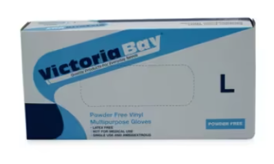 Gloves Vinyl L VB 10/100