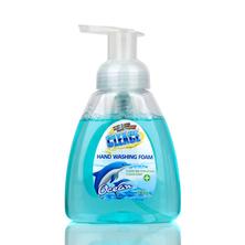 Hand Soap Foam Cleace 300g 24/1