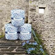 Toilet Tissue VB 1/96/500 | TT10012VB | 374015