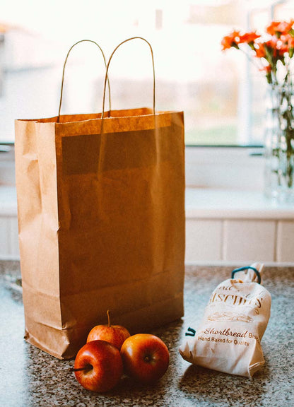 Handle Bags Plain Brown 5/50 | #45 & #35