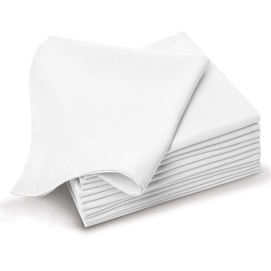 Dinner Napkins Wht 1Ply Virgin Captiva 18/250
