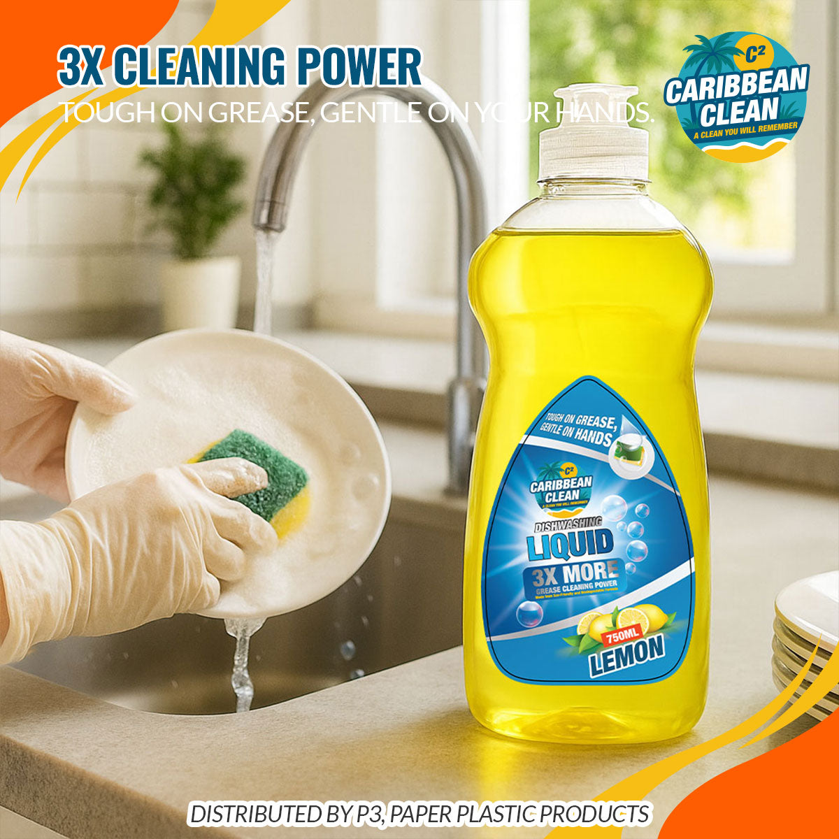 Dishwashing Liquid Lemon Caribbean Clean 750ml 1/10 | DWL10024 | DWLLCC750