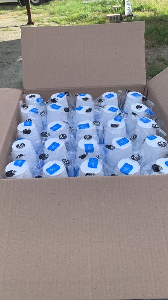Foam Cup 10oz White Darnel Eco 50/20