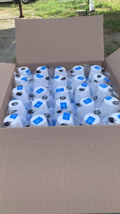 Foam Cup 10oz White Darnel Eco 50/20