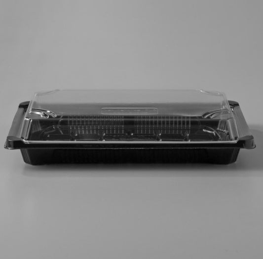 Sushi Container with Lids Large 6/100
