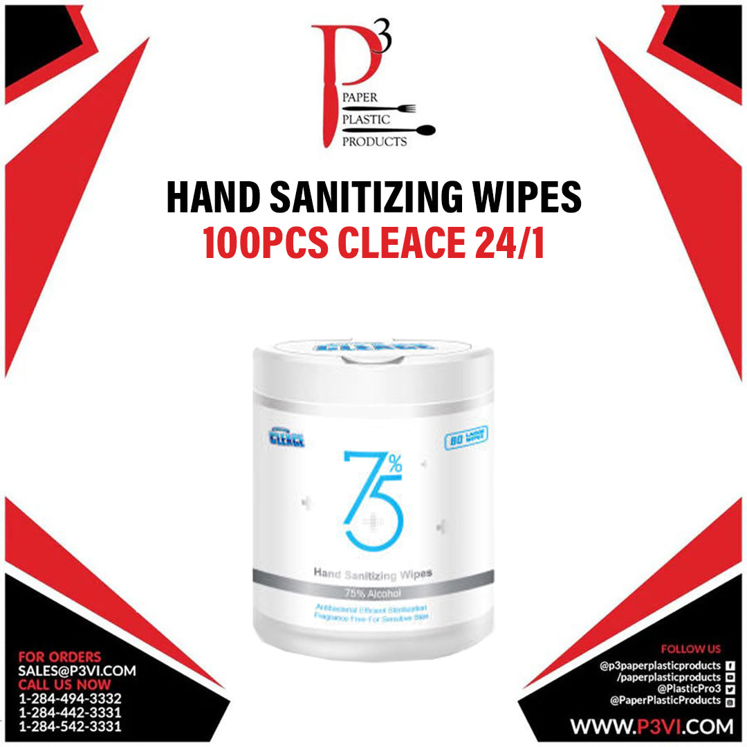 Hand Sanitizing Wipes 100pcs Cleace 24/1