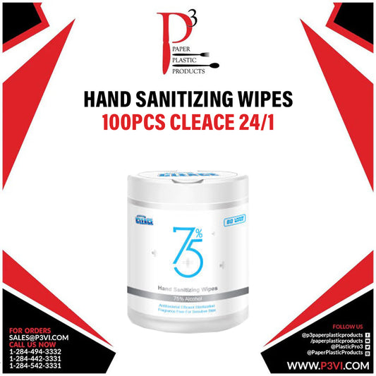 Hand Sanitizing Wipes 100pcs Cleace 24/1