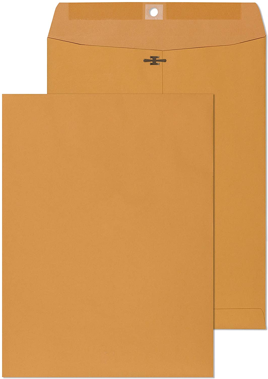 Catalog Envelope 9"x12" 1/250