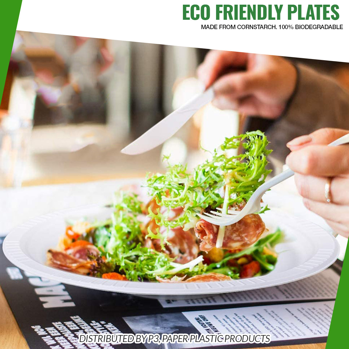 Eco-Island 10 packs by 50 Disposable Plates - 500/case