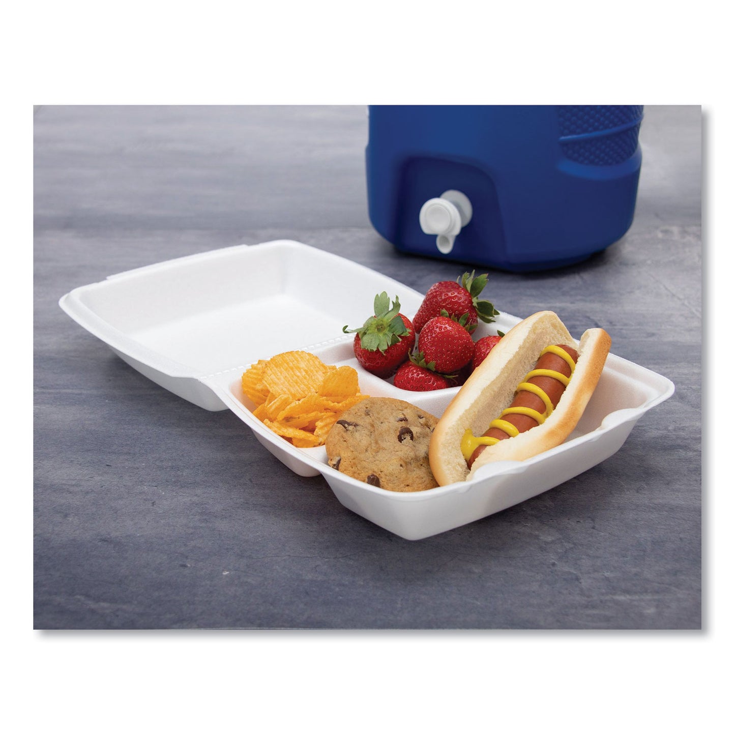 Foam Trays – 8x8 | 9x9 | 9x6 | Pack: 2/100