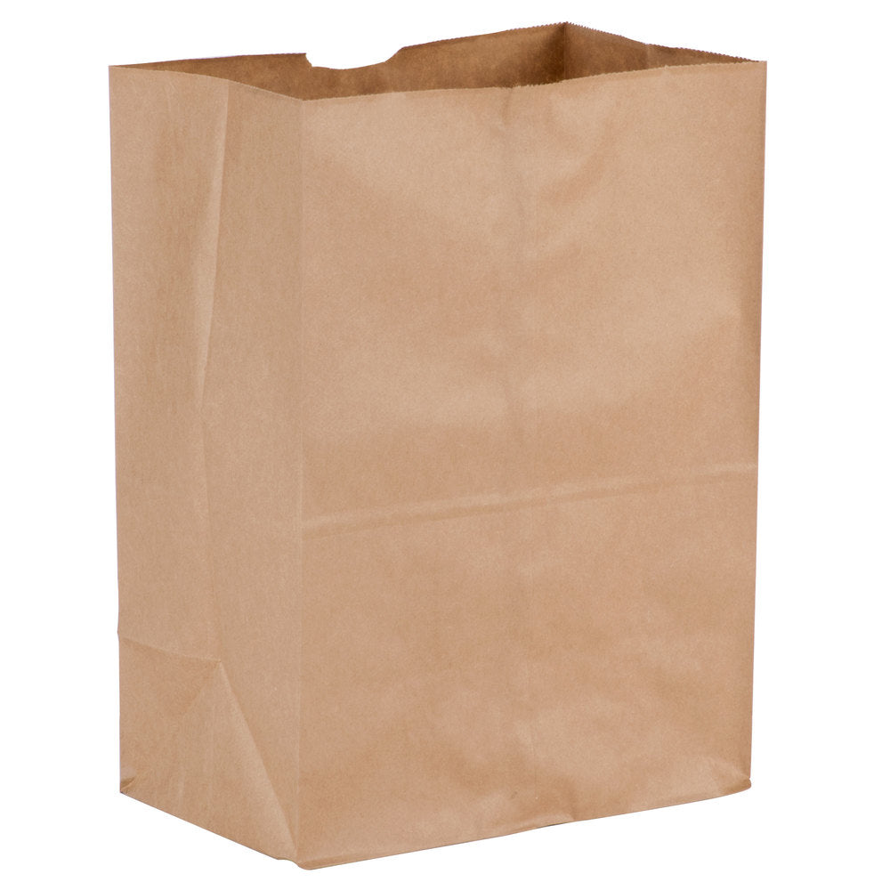 8# Paper Bag 1/500 - P3, Paper Plastic Products Inc.