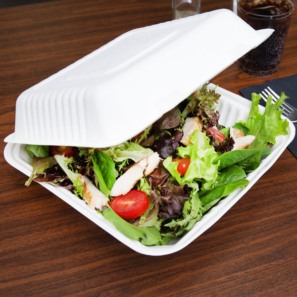 9x6 Eco Friendly Tray 4/50 - P3, Paper Plastic Products Inc.
