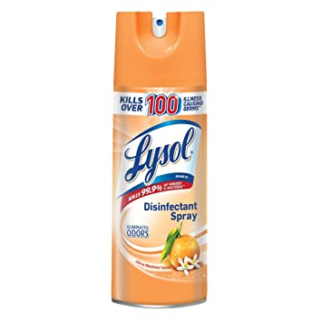 Lysol Spray Citrus Mead 12/12oz - P3, Paper Plastic Products Inc.