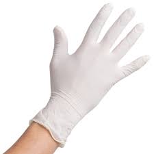 Exam Gloves White Lg 10/10