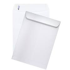 Catalog Envelope 9"x12" 1/250 - P3, Paper Plastic Products Inc.