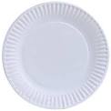 Paper Plate 10.5" 4/125